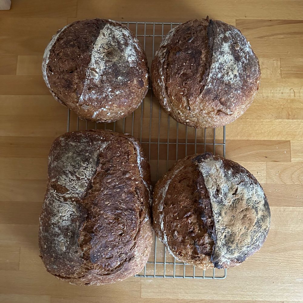 4 loaves of sourdough