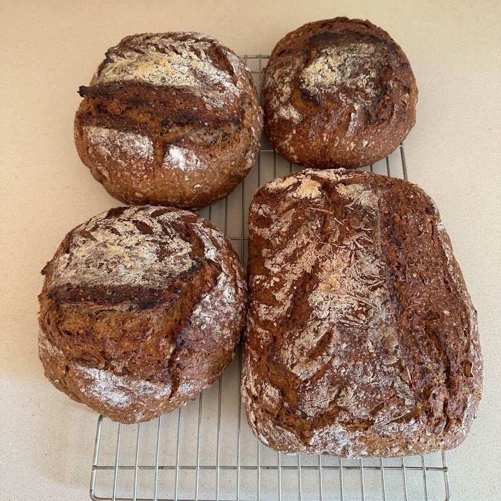 4 baked hard sourdough loaves