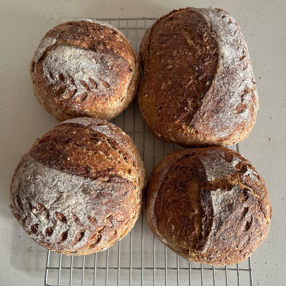 4 seeded wholemeal sourdough loaves from above