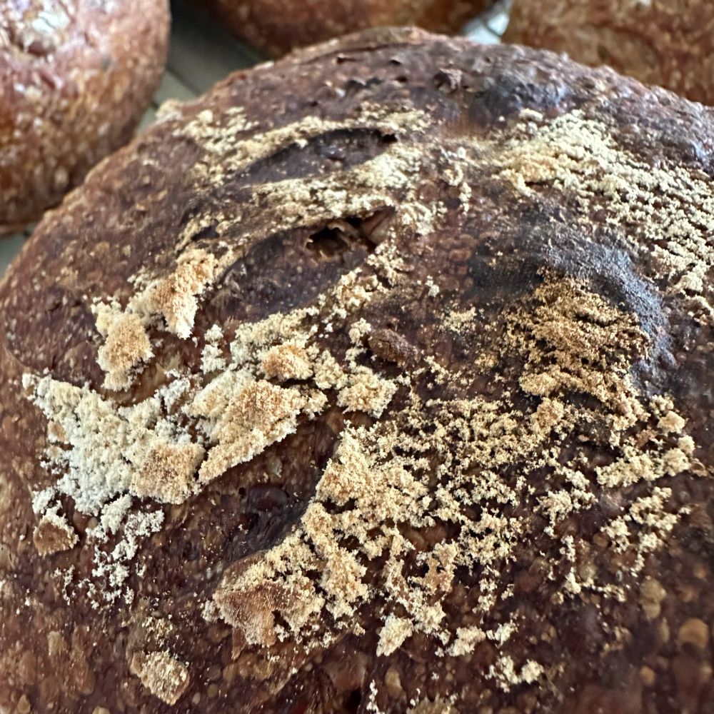 Crusty seeded sourdough 
