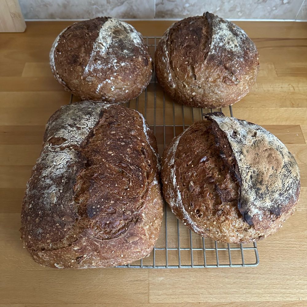 4 loaves of sourdough, angled 