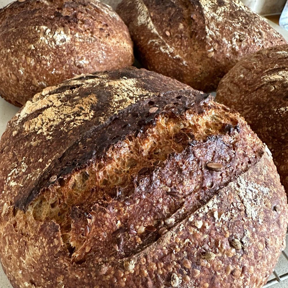 Crusty seeded sourdough 