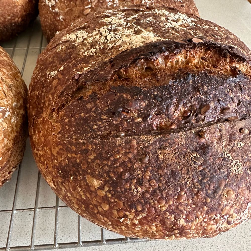 Crusty seeded sourdough  