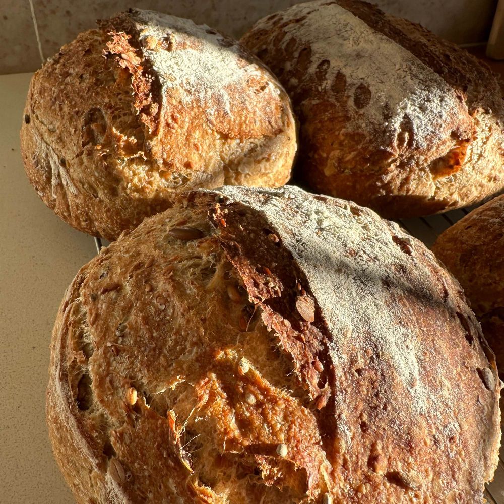 An ear on a Sourdough loaf lit by sunlight