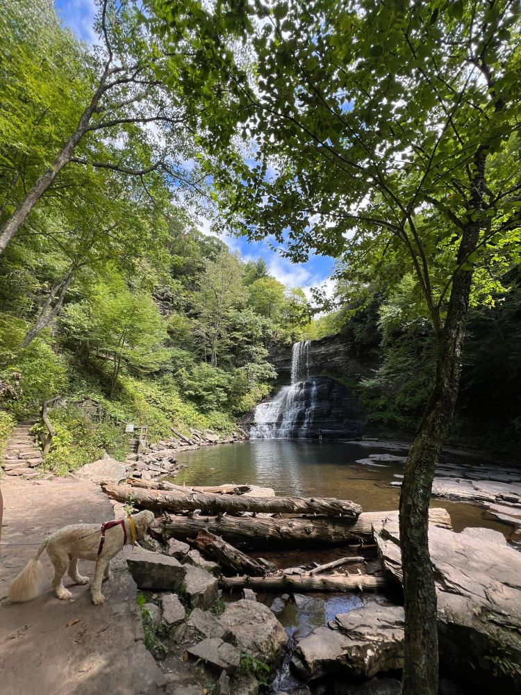 Cascade Falls, VA