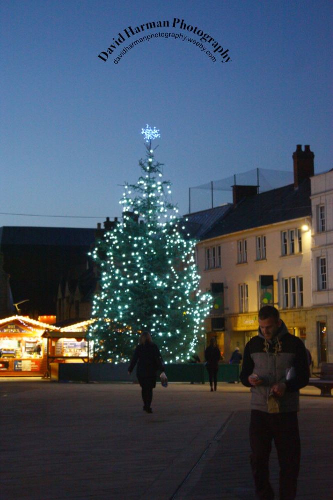 A illuminated Christmas tree in the town Square at dusk