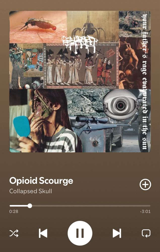 the song Opioid Scourge by the band Collapsed Skull from the album Your Father’s Rage Evaporated in the Sun