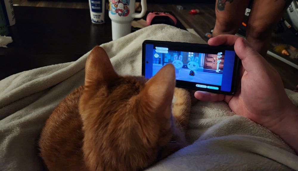 A small baby orange cat watching two Animal Crossing villagers sing Bubblegum KK on a phone.