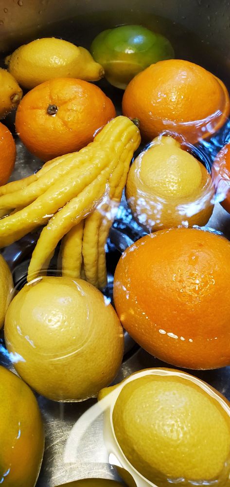 Citrus being washed with a Buddhas Hand in view