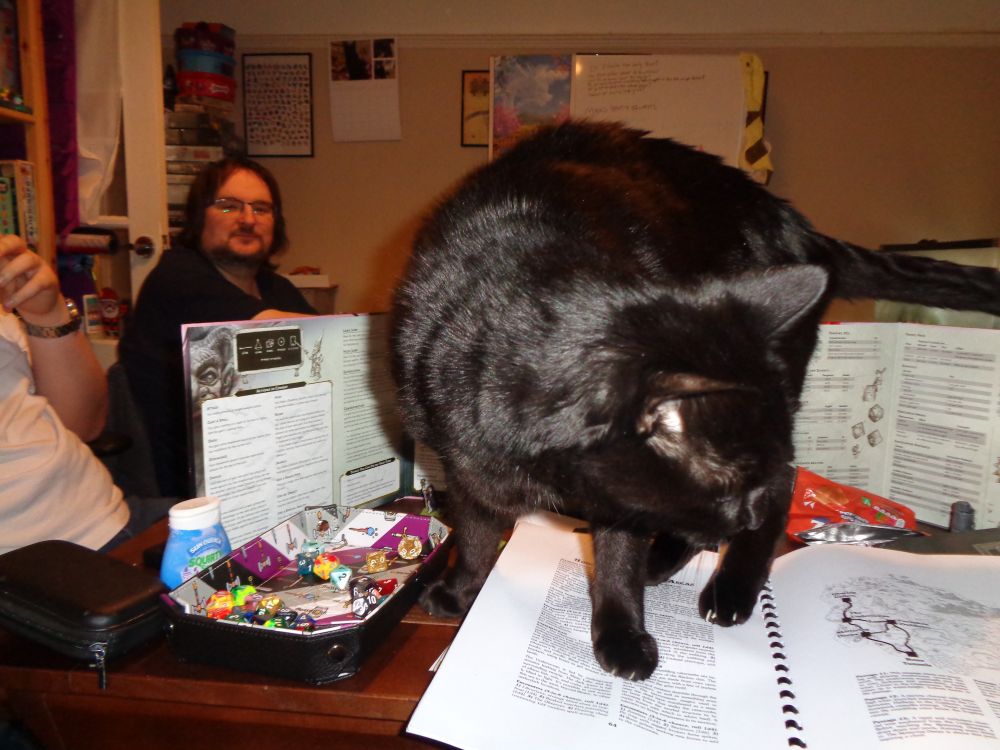 Rex the black cat decides to explore my notes behind the RPG screen during our Evils of Illmire TTRPG campaign.