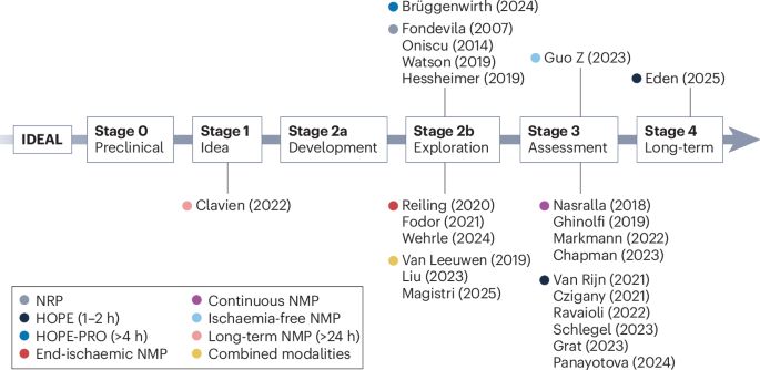 The IDEAL framework for machine perfusion in liver transplantation