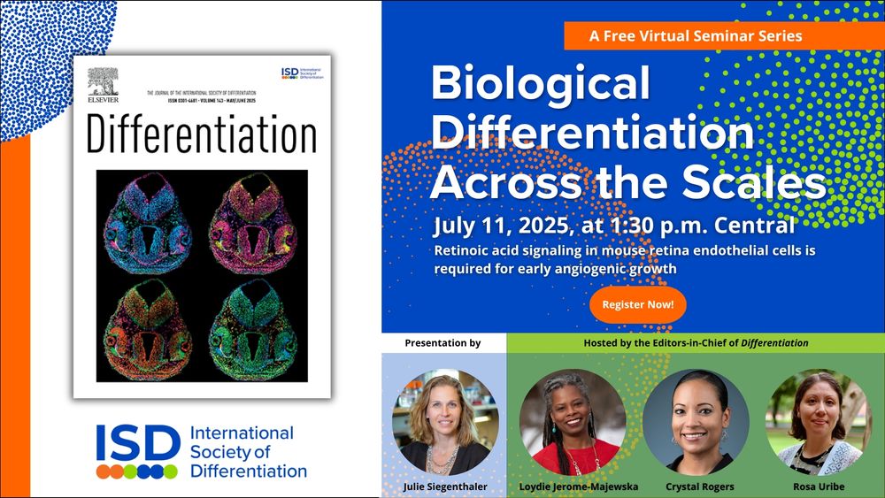 Biological Differentiation Across the Scales—July 11, 2025, at 1:30 p.m. Central—Retinoic acid signaliing in mouse retina endothelial cells is required for early angiogenic growth—Register Now!