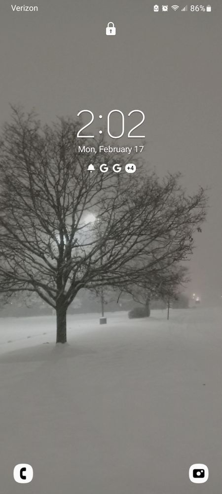 A photo I took on a walk home from work through a blizzard. A tree is being illuminated from behind by a streetlight.