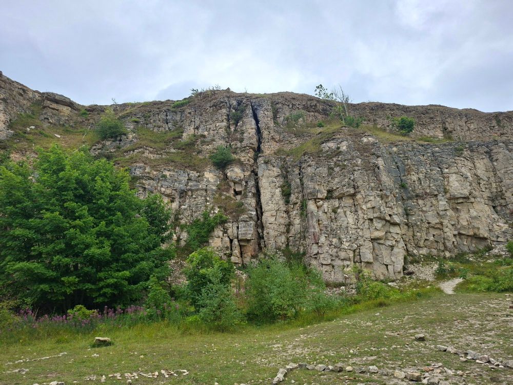 A picture of a small cliff from my hike with a tree at the base