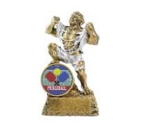 Absurd Pickleball trophy