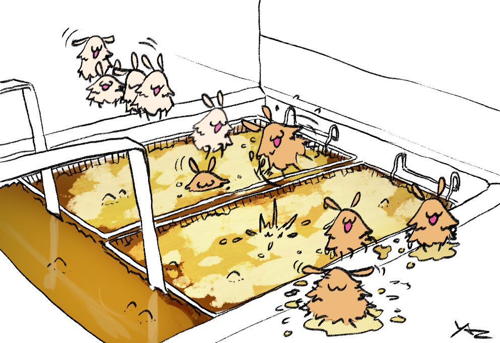 the fleas from silksong taking a nice relaxing hot bath in the kfc deep fryer