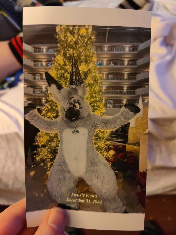 A physical photo of an arctic hare fursuiter with a new years 2025 party hat