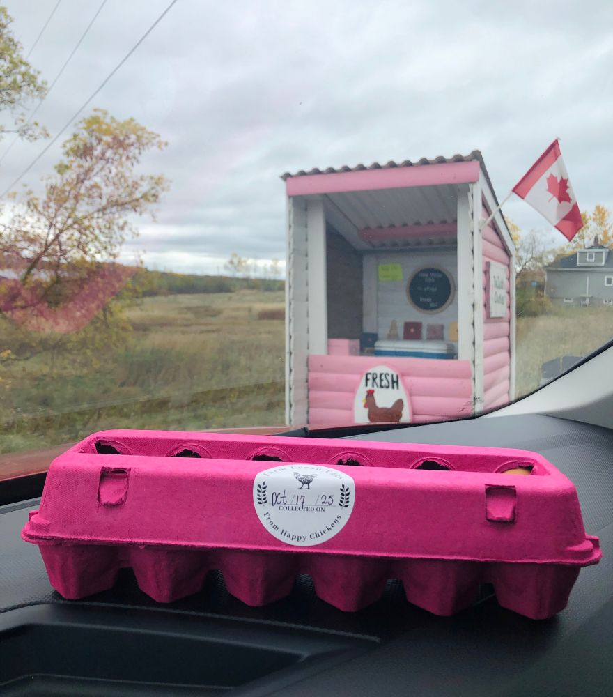 A hot-pink carton of fresh farm eggs sits on the dashboard of a car; through the windshield you can see a small roadside stand that is painted pink and white, and is flying a Canadian flag. There are also hand-made painted Halloween glass tiles for sale. 