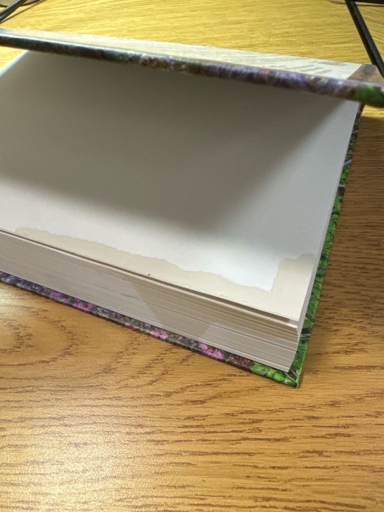 book, coffee stained pages.