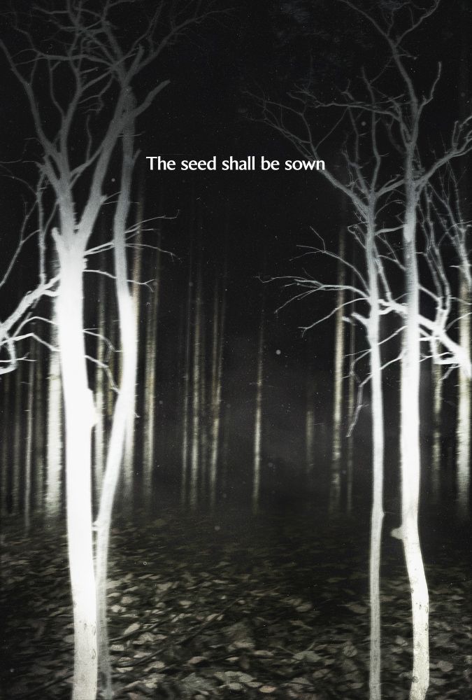 a dark image of the woods at night with the text "The seed shall be sown"