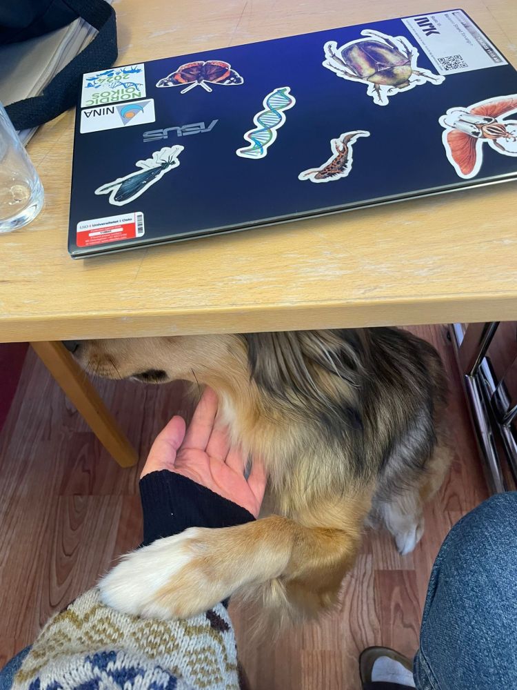 Student having hand shaken by course mascot (border collie dog) after a hard day's work! 