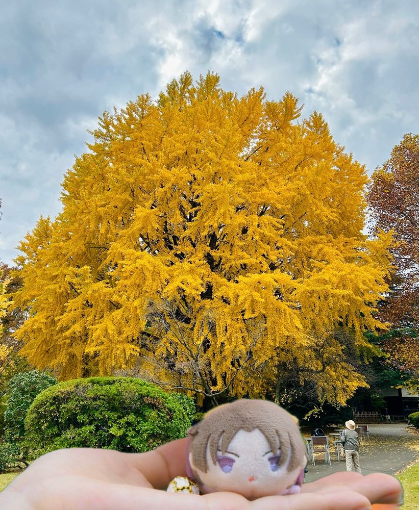大きなイチョウが紅葉している写真
手前には映っている人の顔を隠すためにこもち（ステッカーの姿）が載せてある