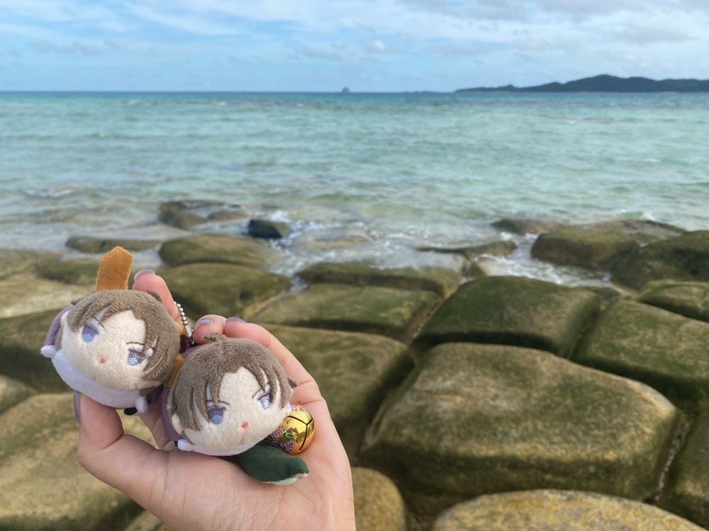 こもちと海と岩場