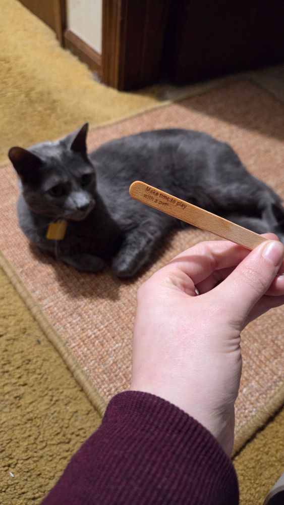 A popsicle stick that says "Make time to play with a pet"