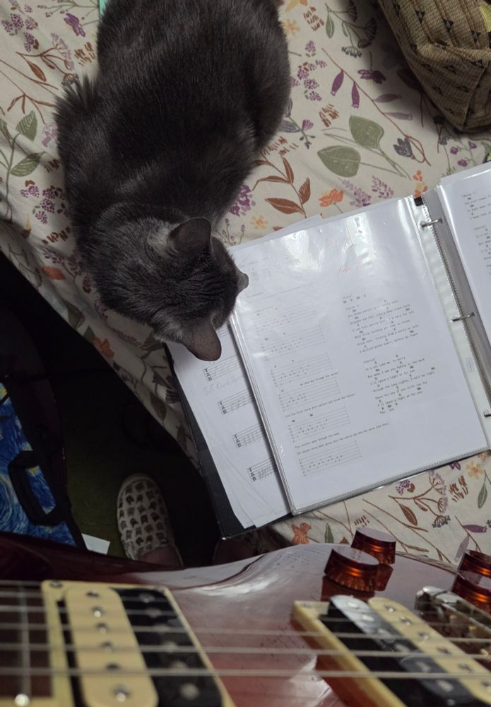 A gray cat sits next to a binder of guitar tabs