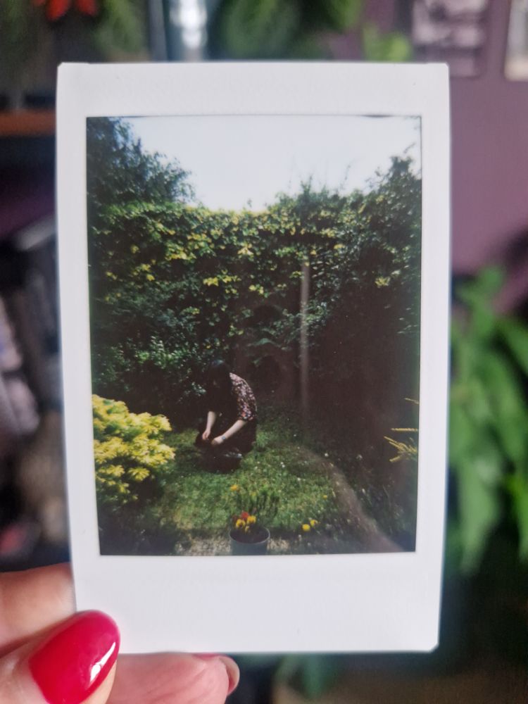 Polaroid print of a woman gardening