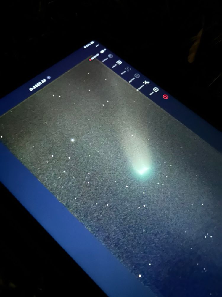 The comment C/2025 A6 Lemmon on a digital screen. 