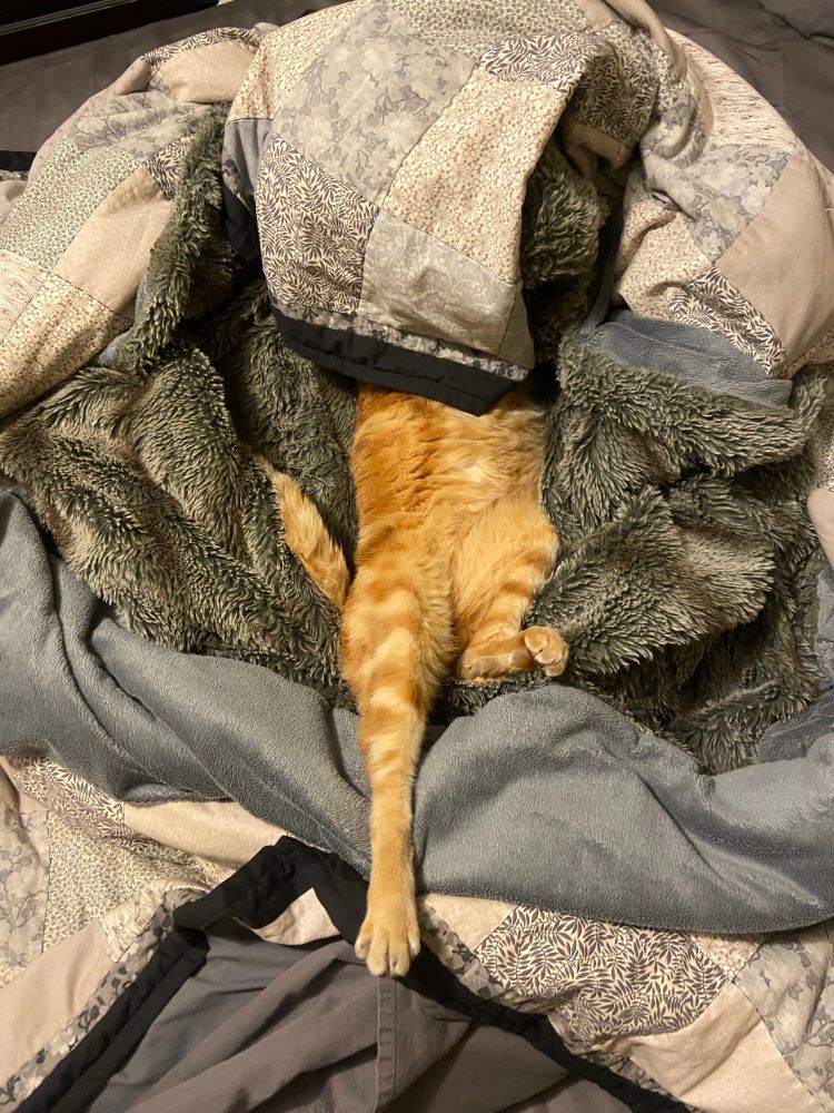 Orange cat lying belly up with the top half of his body covered in a pile of blankets and hjs legs sticking out.
