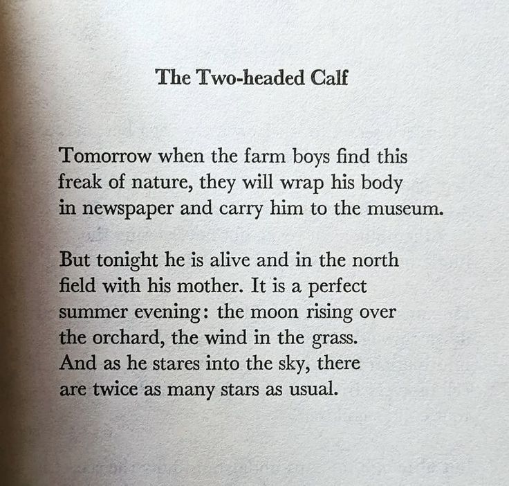 The Two-headed Calf
Tomorrow when the farm boys find this freak of nature, they will wrap his body in newspaper and carry him to the museum.
But tonight he is alive and in the north field with his mother. It is a perfect summer evening: the moon rising over the orchard, the wind in the grass.
And as he stares into the sky, there are twice as many stars as usual.