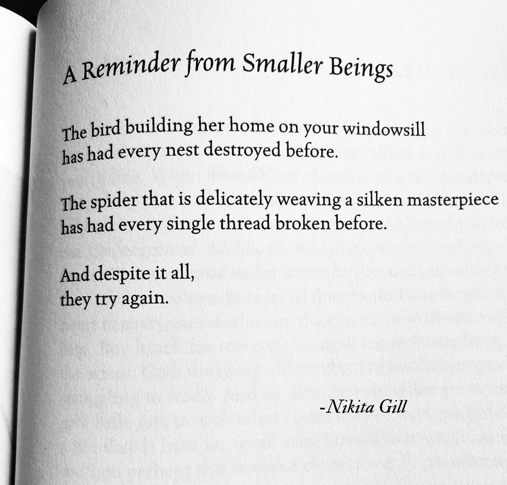 A Reminder from Smaller Beings

The bird building her home on your windowsill has had every nest destroyed before.

The spider that is delicately weaving a silken masterpiece has had every single thread broken before.

And despite it all, they try again.