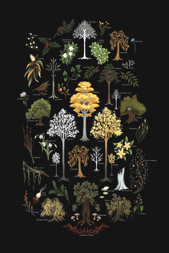 An illustrated collection of plants from Tolkien's legendarium by Anna Stead 