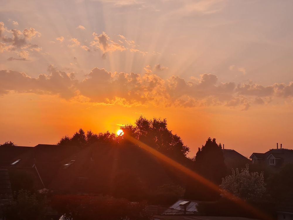 photo of the sun going down dramatically. it is very orange and there are rays of light extending out from light lilac grey clouds above and the sillhouettes of trees on the suburban skyline