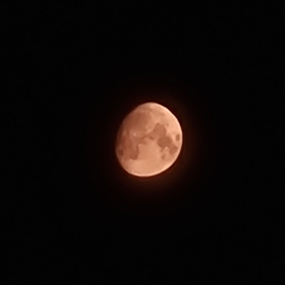 waxing gibbous moon, peachy coppery in the photo, it looks more golden to the naked eye