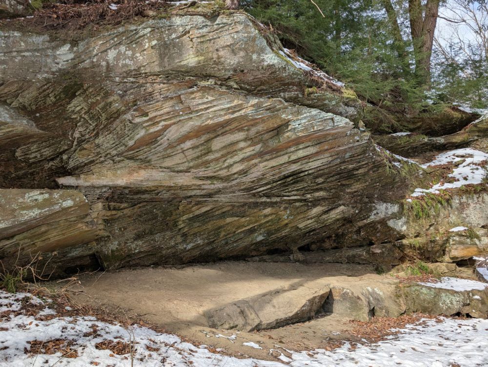 An outcrop of rock several meters high in a canyon wall, made up of light-beige sandstone mottled with pale greenish-white lichen. A thick, massively bedded layer of rock sticking out at the bottom of the outcrop forms a sort of terraced, while more recessed layers above consist of two sets of large-scale angular cross beds dipping from right to left. The exposed undersides of some of the cross beds are red-otange with iron staining. The uppermost layer of the outcrop is more massively bedded, but some thin crossbeds stick out, also dipping toward the left. A bit of soil sits atop thr outcrop in some places, and there are ferns and small conifers growing. The ground is covered in snow and fallen leaves in the foreground, but at the base of the outcrop the rock surface is covered in loose sand.