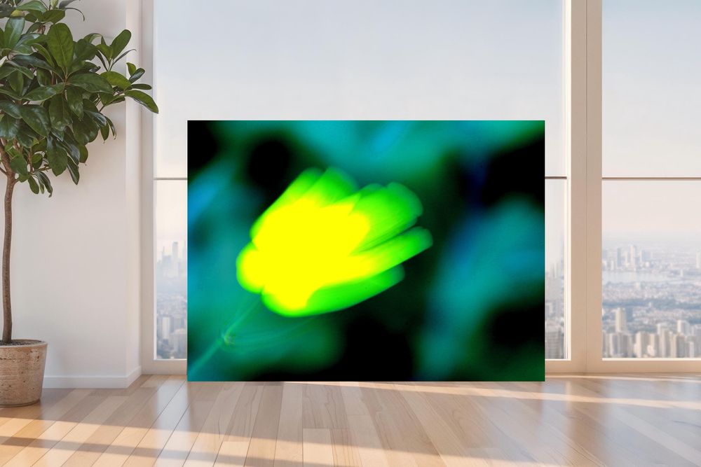  Yellow is a wildflower in motion. Black and green are shadow and plants.