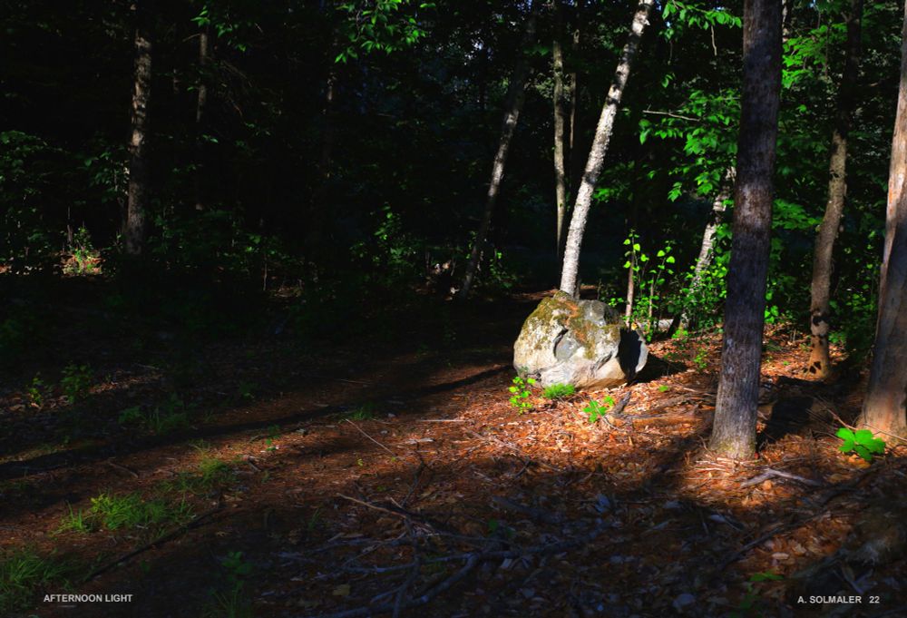 Seems like rockintuesday as it's a rock featured.  the late afternoon sunlight streams into an opening in the woods. A glacial erratic rock is highlighted by the sunbeam as well as forest floor and trees