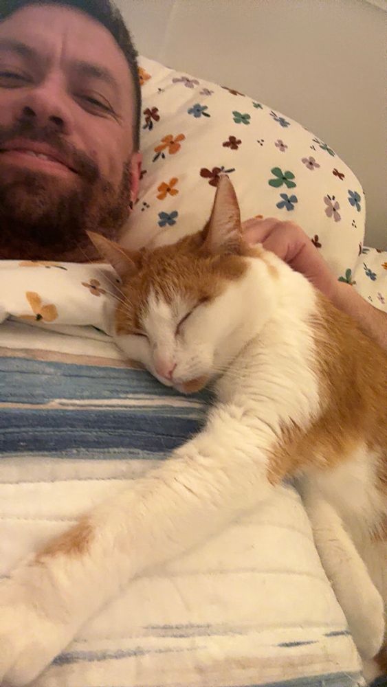 Sleepy snuggle cat bears 