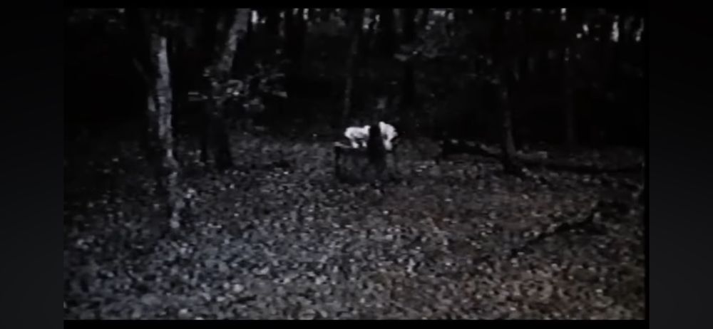 Sadako from Ringu coming out the well