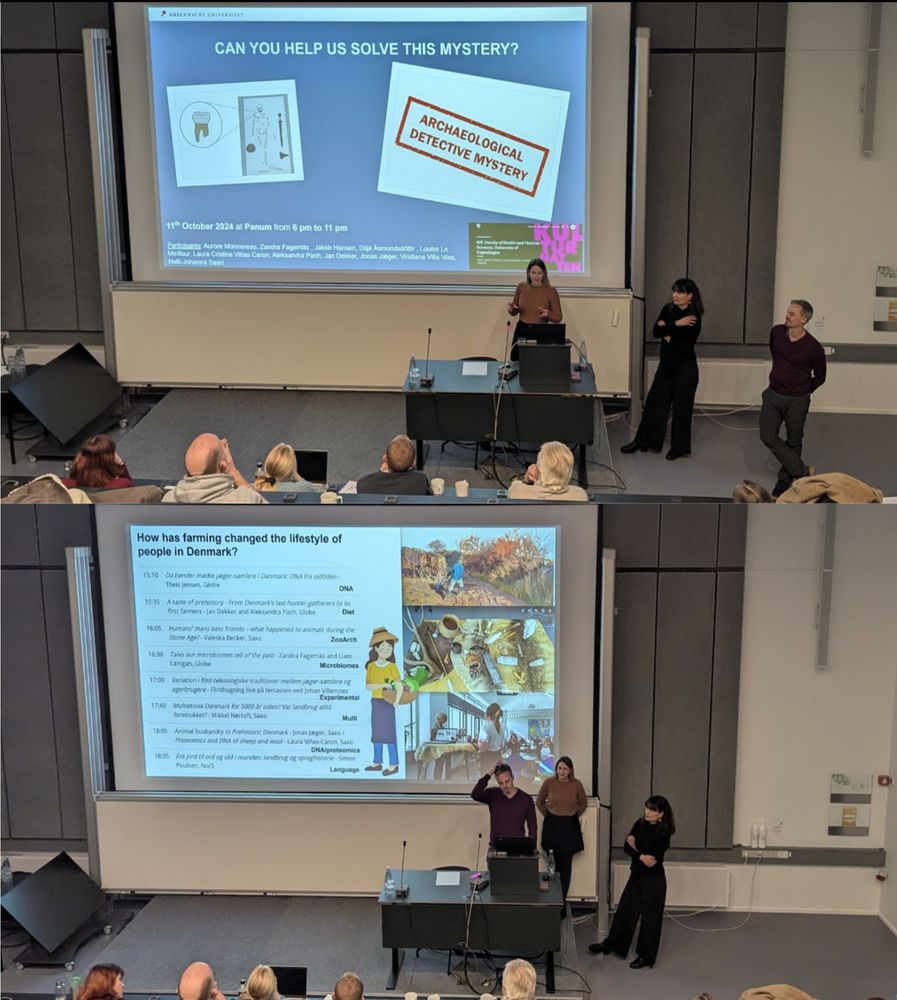 A collage of two presentation slides. The top slide shows an 'Archaeological Detective Mystery' event announcement for October 11th at Parnum. The bottom slide displays a detailed program schedule titled 'How has farming changed the lifestyle of people in Denmark?' featuring various topics including DNA, diet, and microbiomes, with illustrated graphics of researchers. Three presenters stand at the front of the lecture room.