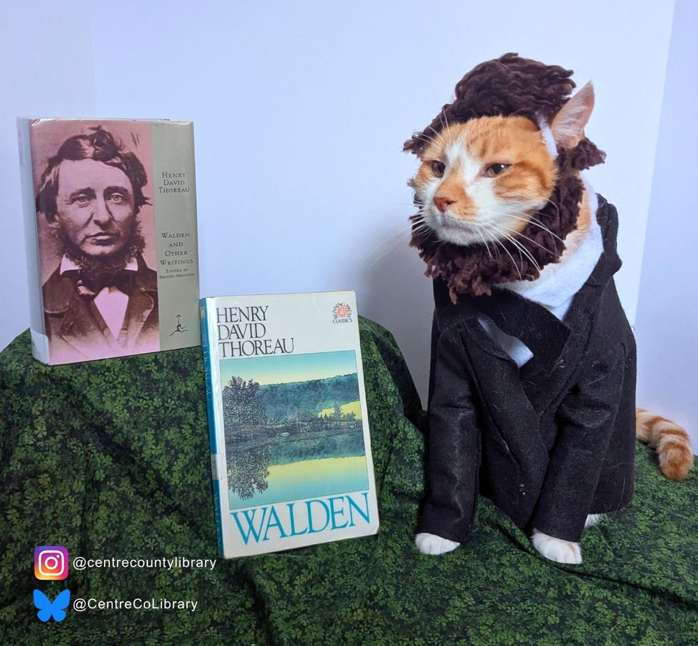 A photo of an orange cat dressed in a black suit with a brown wig and bear to emulate author Henry David Thoreau. The cat sits next to a collection of Thoreau's writings and a copy of "Walden."