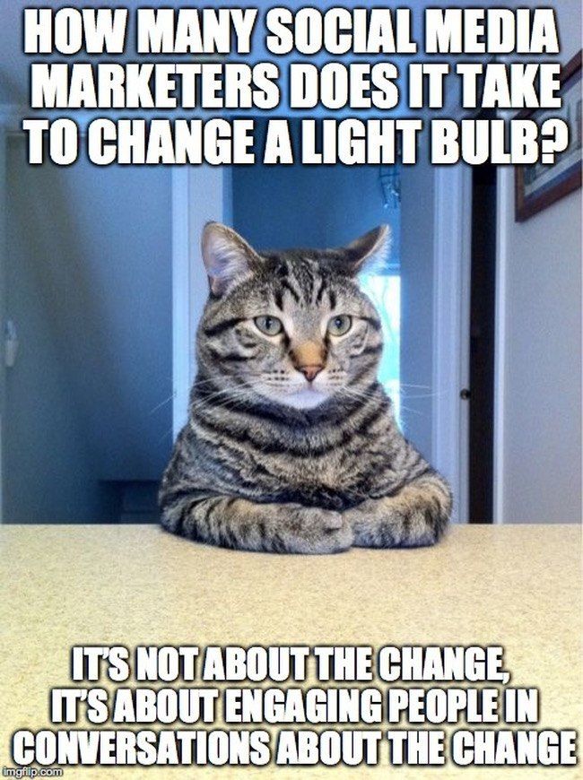 A serious-looking cat with text: How many social media marketers does it take to change a light bulb? It's not about the change, it's about engaging people in conversations about the change.