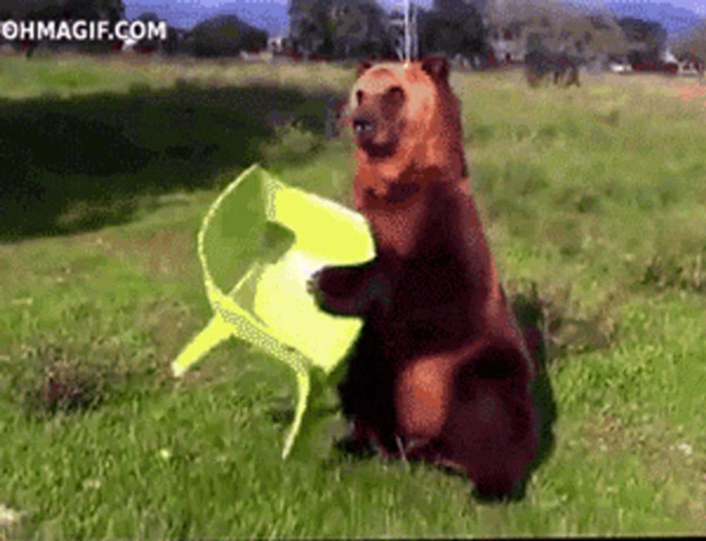 a bear standing on its hind legs holding a chair in a field