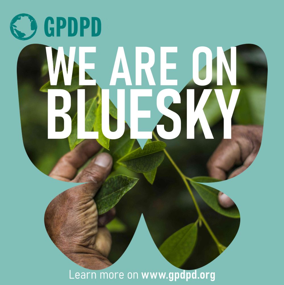 GPDPD announcement graphic with bold text 'WE ARE ON BLUESKY' over a butterfly-shaped cutout showing hands holding coca leaves. GPDPD logo in the top left, website link at the bottom.