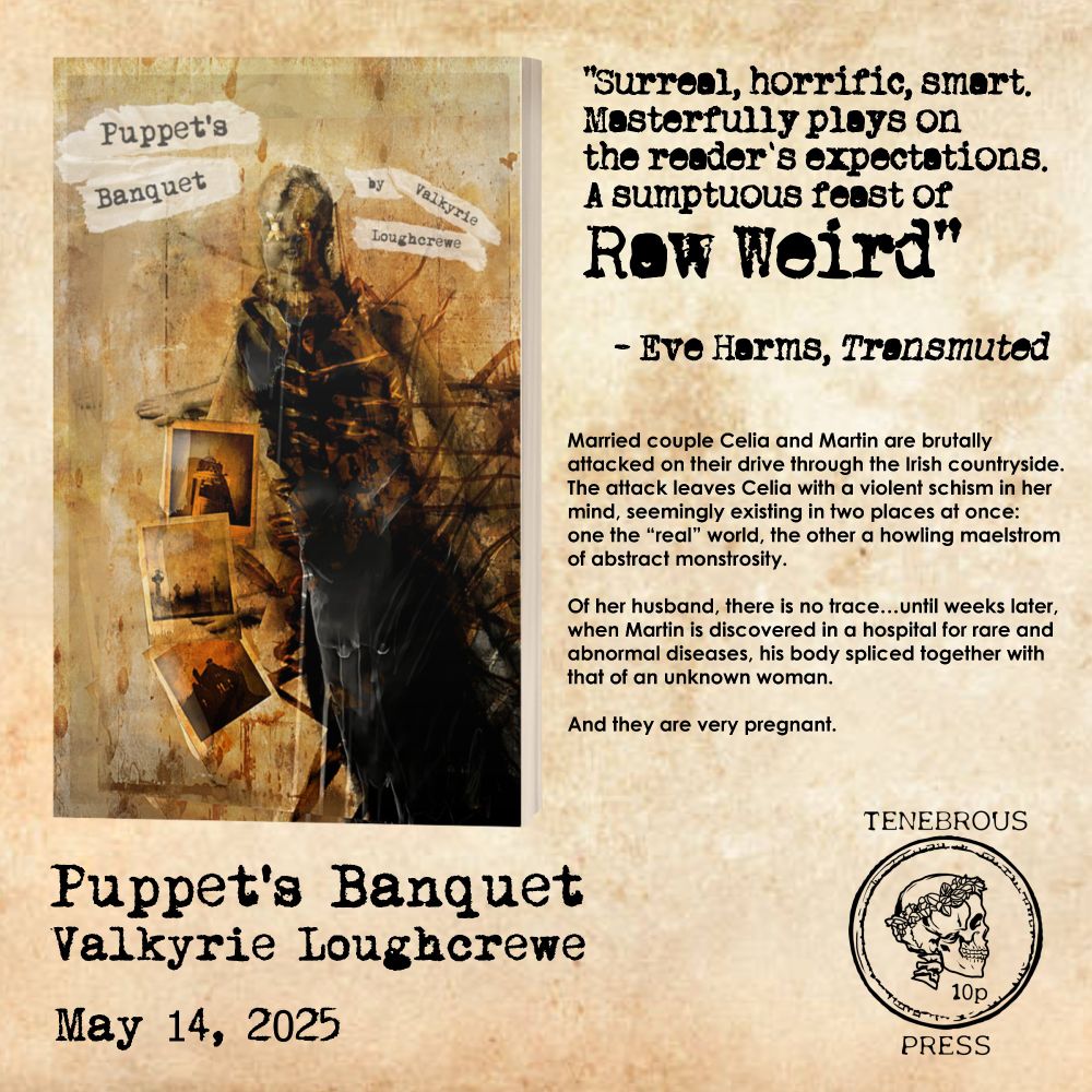 The cover art of PUPPET'S BANQUET, featuring a terrifying baby-doll-headed centipede, and archival photos of a cemetery and a looming old institute.
A blurb from author Eve Harms reads: "Surreal, horrific, smart. Masterfully plays on the reader's expectations. A sumptuous feast of Raw Weird."
Book description:
Married couple Celia and Martin are brutally attacked on their drive through the Irish countryside. The attack leaves Celia with a violent schism in her mind, seemingly existing in two places at once: one the “real” world, the other a howling maelstrom of abstract monstrosity. 
Of her husband, there is no trace…until weeks later, when Martin is discovered in a hospital for rare and abnormal diseases, his body spliced together with that of an unknown woman.
And they are very pregnant.