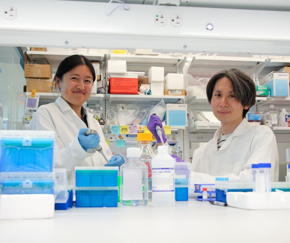 Emily Han, a doctoral student in BE and co-author of the paper, and Dongyoon Kim, a postdoctoral fellow in the Mitchell Lab and co-first author of the paper. 