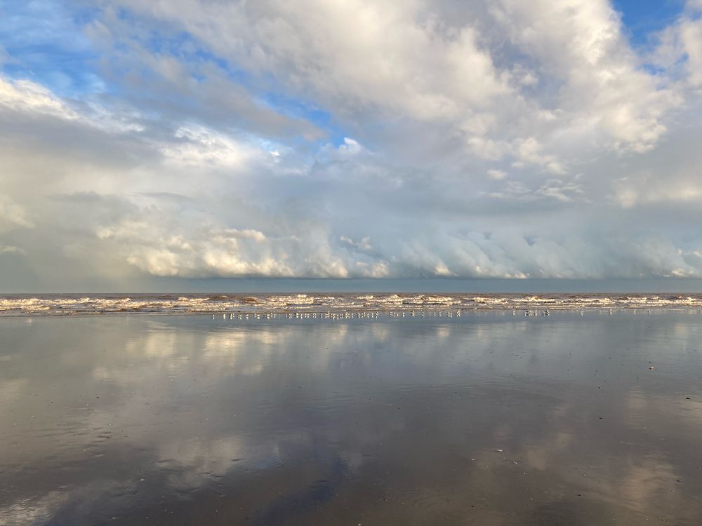 Softer clouds, waves and a row of gulls reflected in the beach wetness